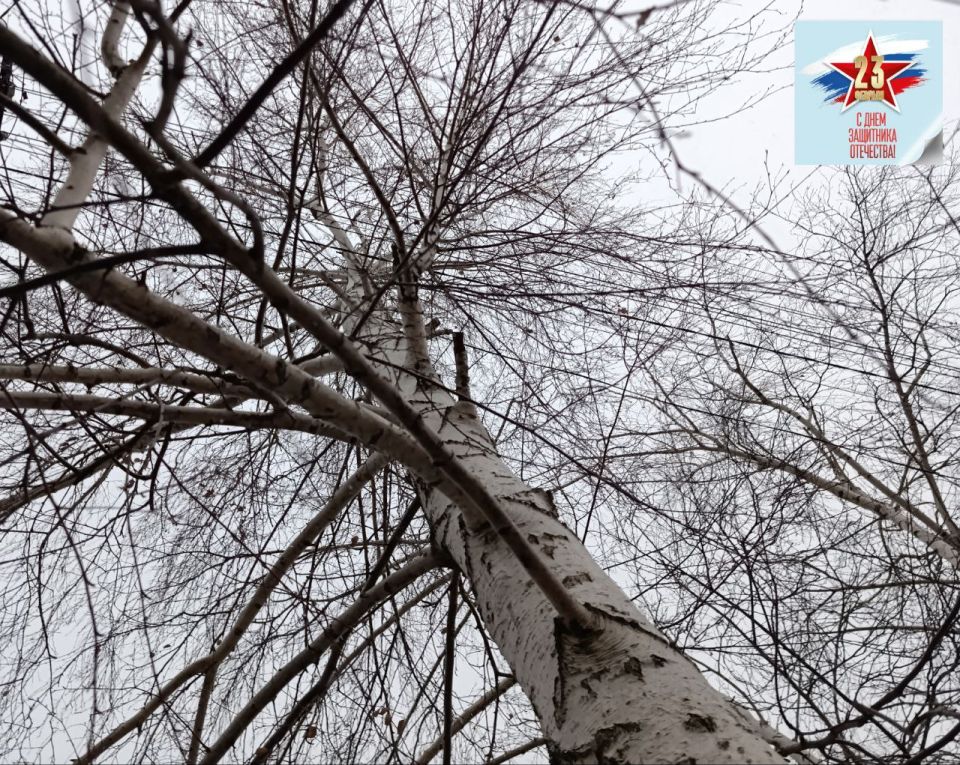 ����� �����: ������ ����������� ����, ������������� ������������� �����!