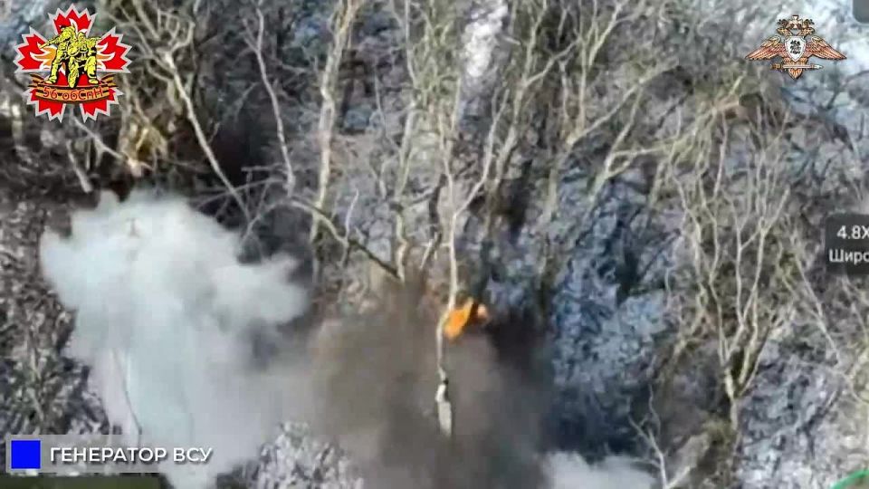 56 ����� ����������� �� ��� ��� � ������ ����������