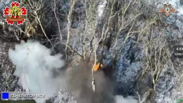 56 ����� ����������� �� ��� ��� � ������ ����������