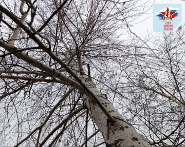 ����� �����: ������ ����������� ����, ������������� ������������� �����!