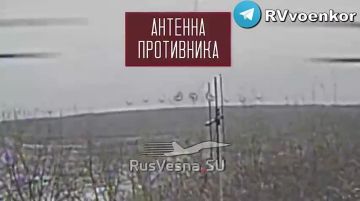 �������� ������ ��������� � ������ ������� ��� ����������, ����������� � � ���������������� �������