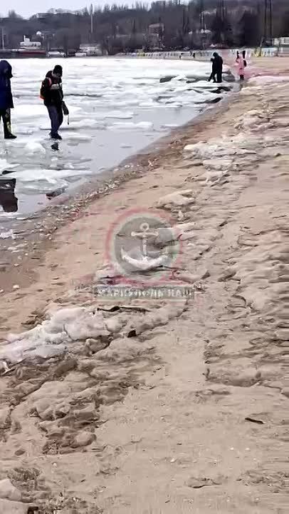 ��� ������ ���� �� ����������� ��� �� � ���������