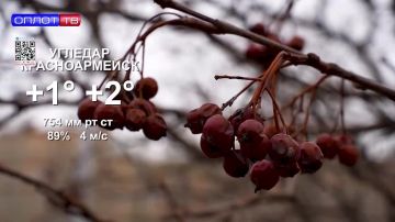 ������ � ��� �� 24.02.2026