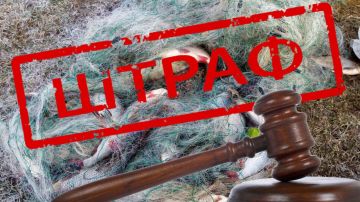 ����������� �������� ����� ��� �������� ������������� �� ���� �� ���������������� �������������� �� ������������� ������ ������ ������������� �������� ����������� ������� ����