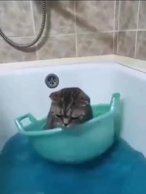 ����� �� ������� ������������ �������� ���