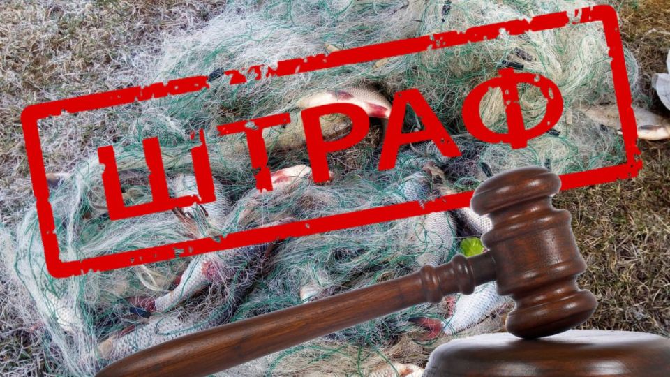 ����������� �������� ����� ��� �������� ������������� �� ���� �� ���������������� �������������� �� ������������� ������ ������ ������������� �������� ����������� ������� ����