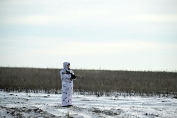 �� ������ �� ����� �������� 52 �������� � ������� ���