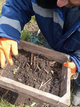 ����� �����: ����������� ������������� ����� �������� ����� 20 ���