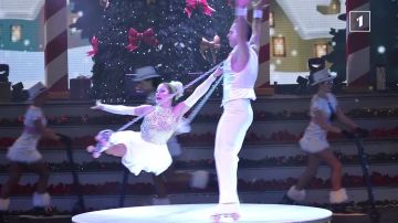 "Я 30 лет руковожу цирком и другой жизни не представляю..." «МЫ РУССКИЕ»