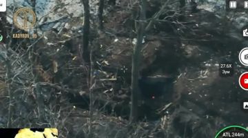 ������ �������: ������� ������ ��������������