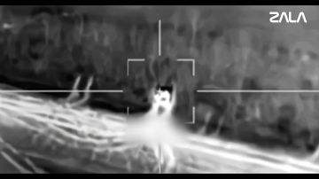 ��������� �������: ������ �������� ��������� ��������������� ���� ���