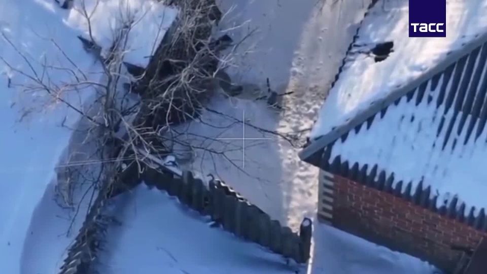 ������������ �������� ��� �������� � ����������� ������� ��������� ����������� ����������� �� �� ����� ���� ��������� �����, �������� �� ��