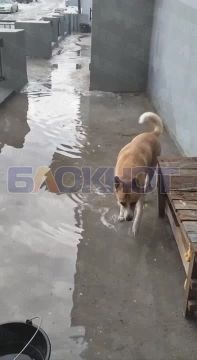 � ������� �� ��������� ������ 24/16 ��-�� ������� ����� ����� ������ ����� ������������ ���������