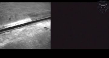 ��� ������ ���������� �����