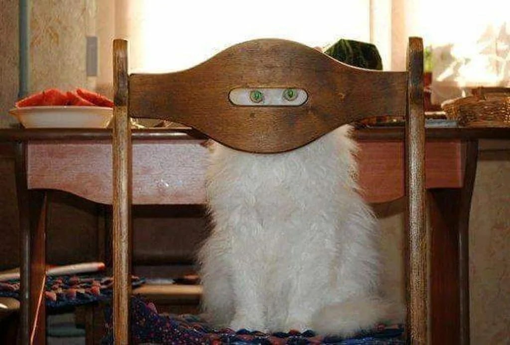 Штрафовать до 30 тысяч рублей хотят начать за СКРЫТОЕ ЛИЦО на улице