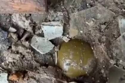 � ��������� ��������� ����� ������������� ������� �� ����������������� �������