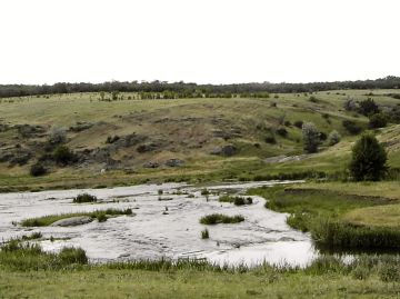 � ������� ���� � ���������� ������������� �������� ����� 130 �����������, ������������ �� ��������� ������� �������� �� ������ � ������ ����� ����� ������