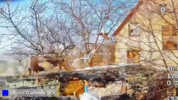 68 ��� ���������� �������, �Humvee�, ���� � ������� ��� � �������