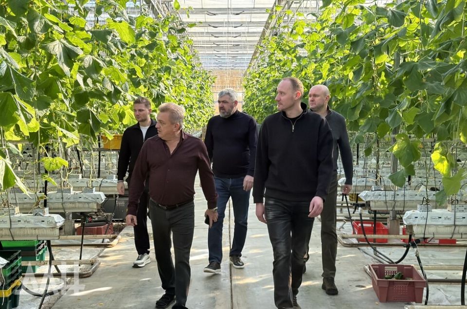 1000 тонн овощей в год: представитель Минсельхоза РФ проверил теплицы Зугрэса