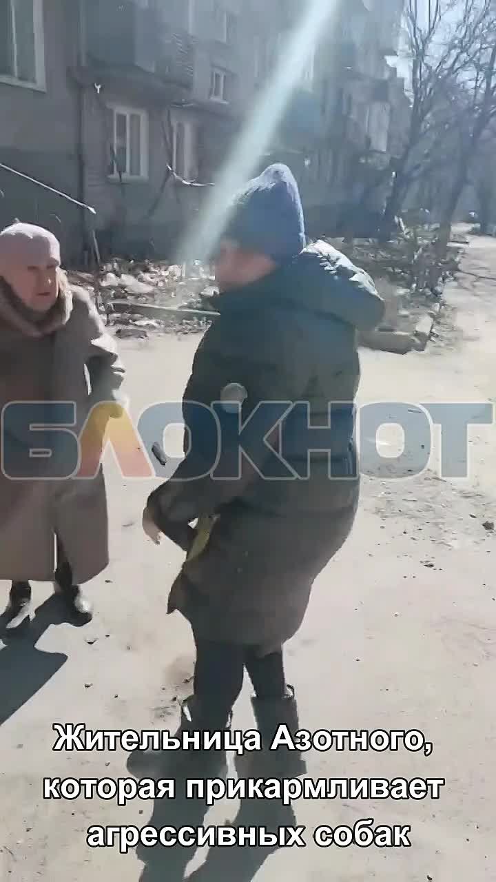 «Собаки здесь власть, а не управа»: в Донецке на Азотном агрессивные псы грызут людей
