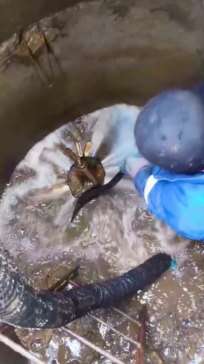 ������� ���������� ��������� ����� 30 ��������� �������� � �������� � 2026 ����