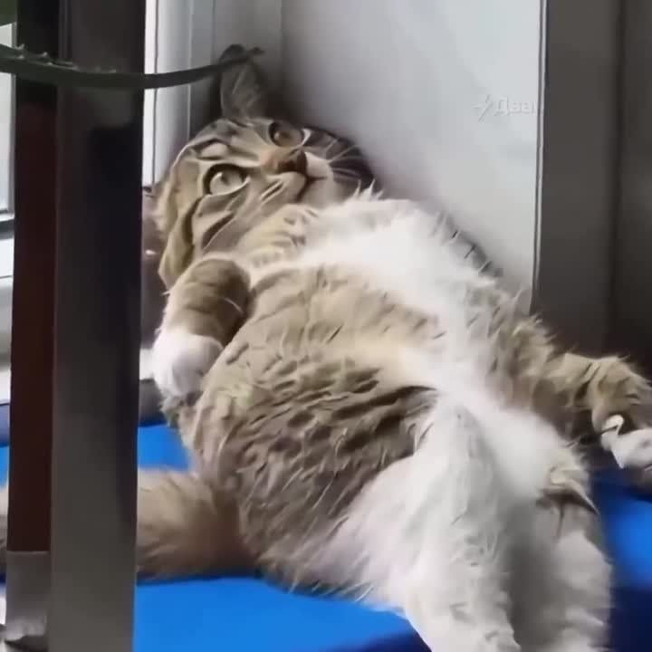 ���������� ������� ����� � ���������!