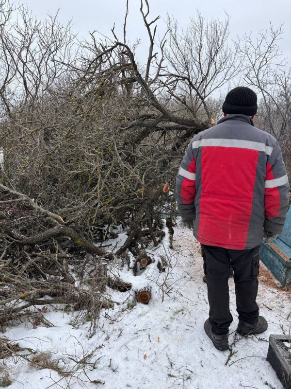 ������ ����������: �� ���������� ������������ �������������� ������ ������ ������ �� ����� ������ ��������� ����� �������� �������� ���������� ������ ������������� �������� ������������ ���� � ������������ ���������...