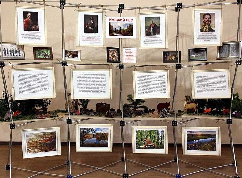 � ������� ���������� ��� ��������� ��������-����������� �������� ���