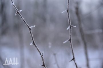 ��������� ���������� � ������ � ������ �����