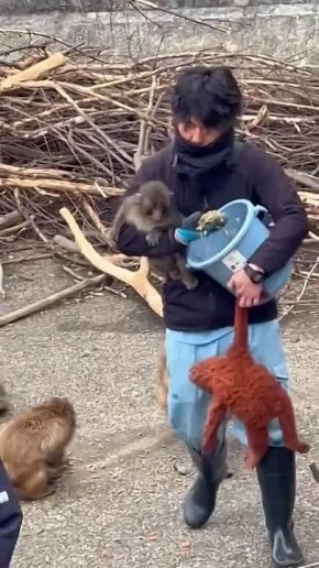 ������� ������ �����, �������� ������ ������� �������� ����?