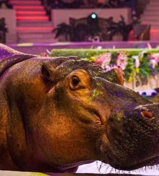 ����� 15 ����� �������� ���������� �������� ������������� ������� ��� � �������