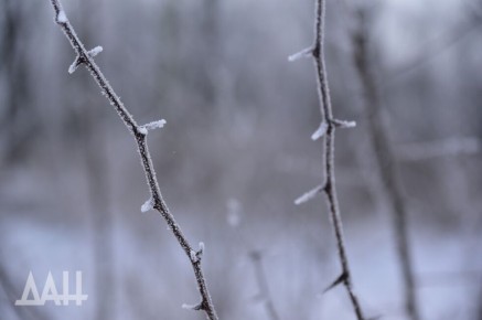 ��������� ���������� � ������ � ������ �����