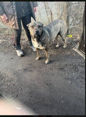 ��������� ���������: � ���� �� ����� �������� �������� ���������� � ��������� ��������� � ���, ���� ������ ������ �������