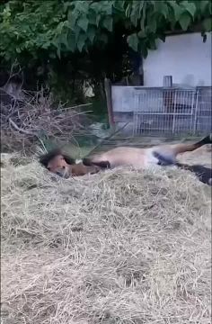 ����� ������������ ���� ��� � ��������, �� ��������� �� ���