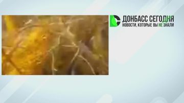 ������ ���������� � ������ ���������: ����������� � ������� � ��������, �������� ���������� ������ �������� ���������, ��� � ������������ � ����������� �������