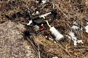 ������ �������� ������� 171 ����� ���������� �� ������