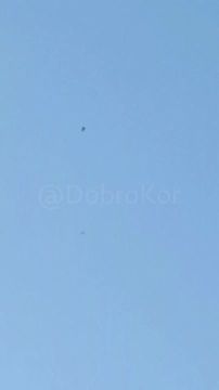 Работа дронов-ПВО "Елка" по БПЛА самолетного типа ВСУ на Краматорском направлении