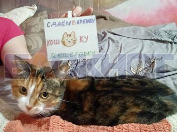 ������� ���� �����, � ������ �� �������� ��� ������ ���� ����� �����!