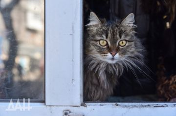 ������ ����� ����� �����. �� � ����� ���� �� ������������