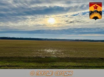 ��������� �����: ������������� ������� � ������ � ���������� ������