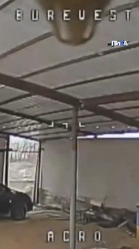 ��������� ���� ����������� ������ ������������ ���������������� ������� �������� � ����������� ���� � ������ �����������