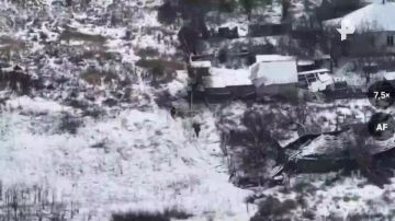 ����� ������������ ����������� ������ ��������� � ��� ������������ ����� "�����" �������� ���������� ��