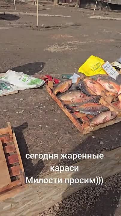 ������� ������������ ���������, ����� ����� �������� ����� � �������� ������������� � ��������