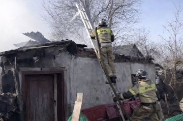 �������� � ��������: � ���� ������� ������� ���� � �� ���������� ����