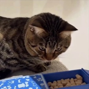 �����!. ���� ��� ����� ���� ����� ������ � �������� ������ ���� �����