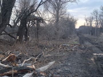 ����������� ������ �� ��������������� �� 02.03.2026