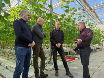 ���������� ������ ������ ����� ������������ ���������� ��������� � �������