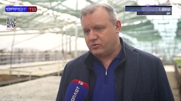 ���� ������, �������� �������