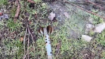 ����� ��������: �������� - ��� ����� ���� ����� ���������