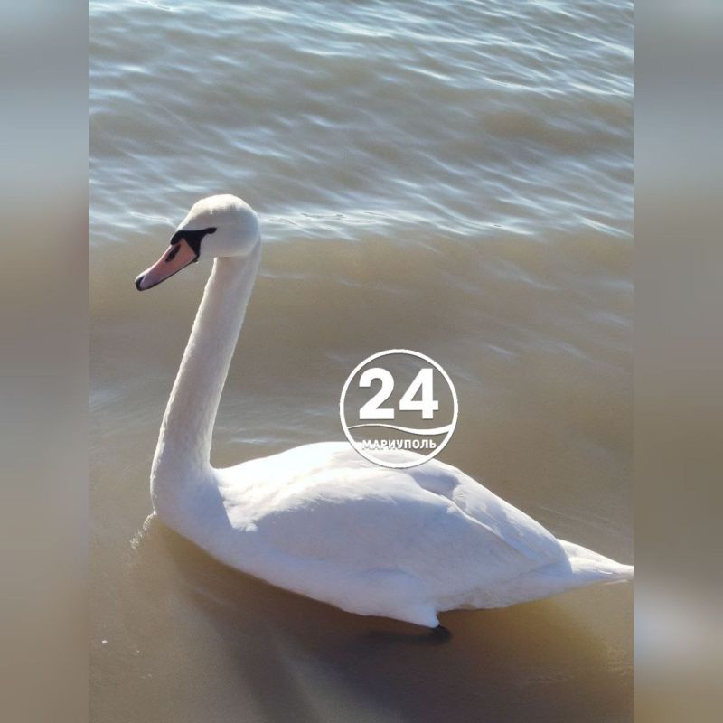 �� ������������ ����� ��������� ������������ ������-������